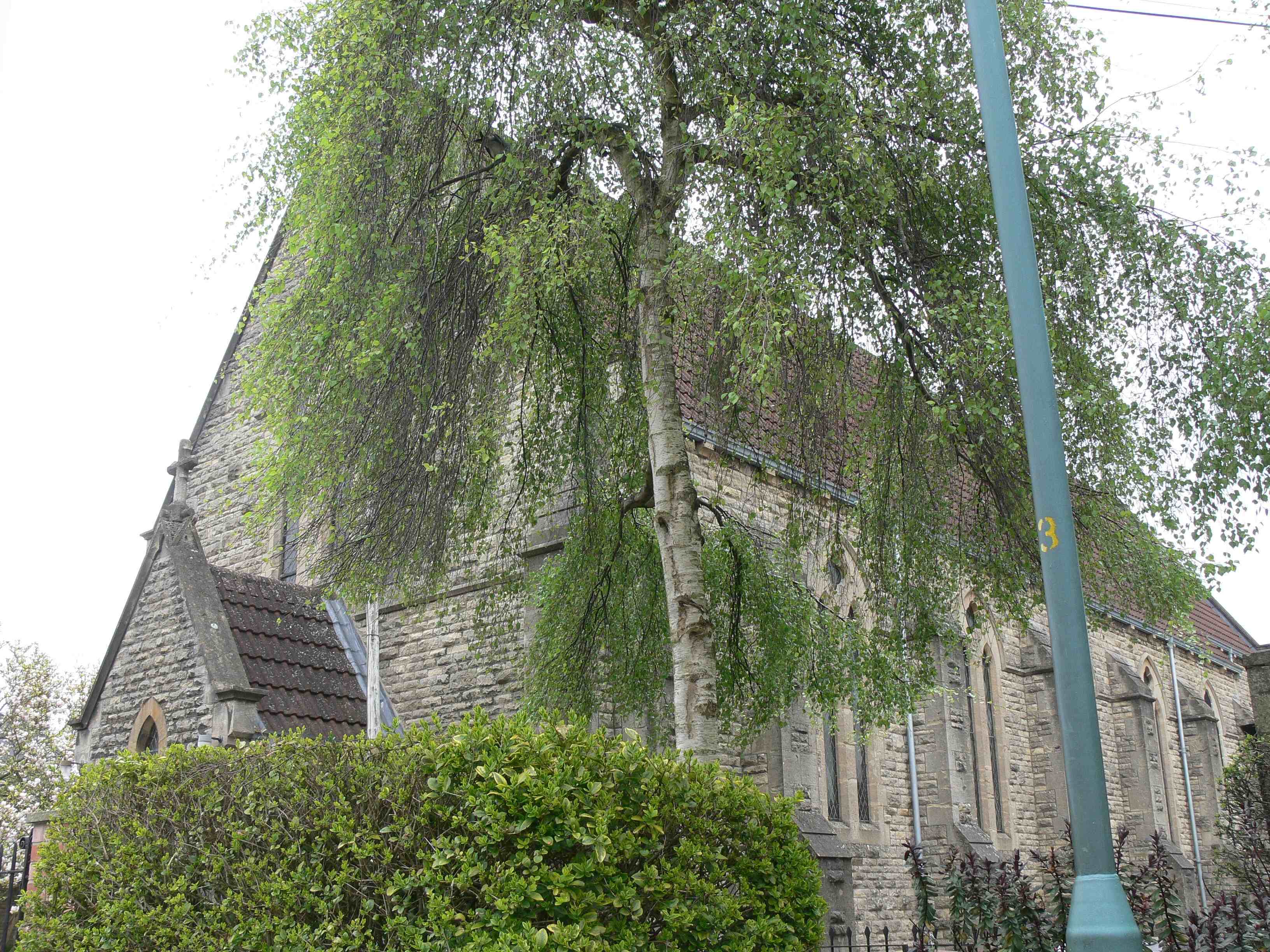 1 St Peter's Church 154